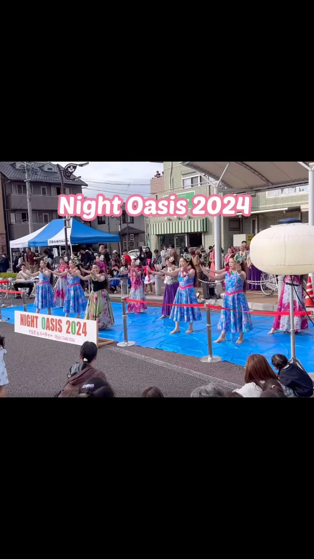 Night Oasis 2024